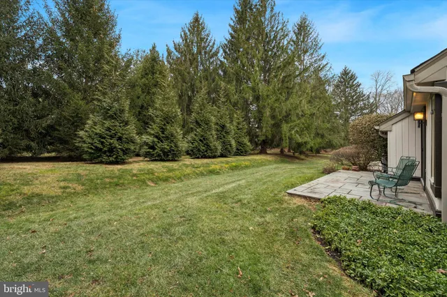 a view of a backyard