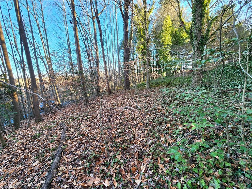 543 Fisher Valley Road Dobson, NC 27017 - Photo 30 of 48