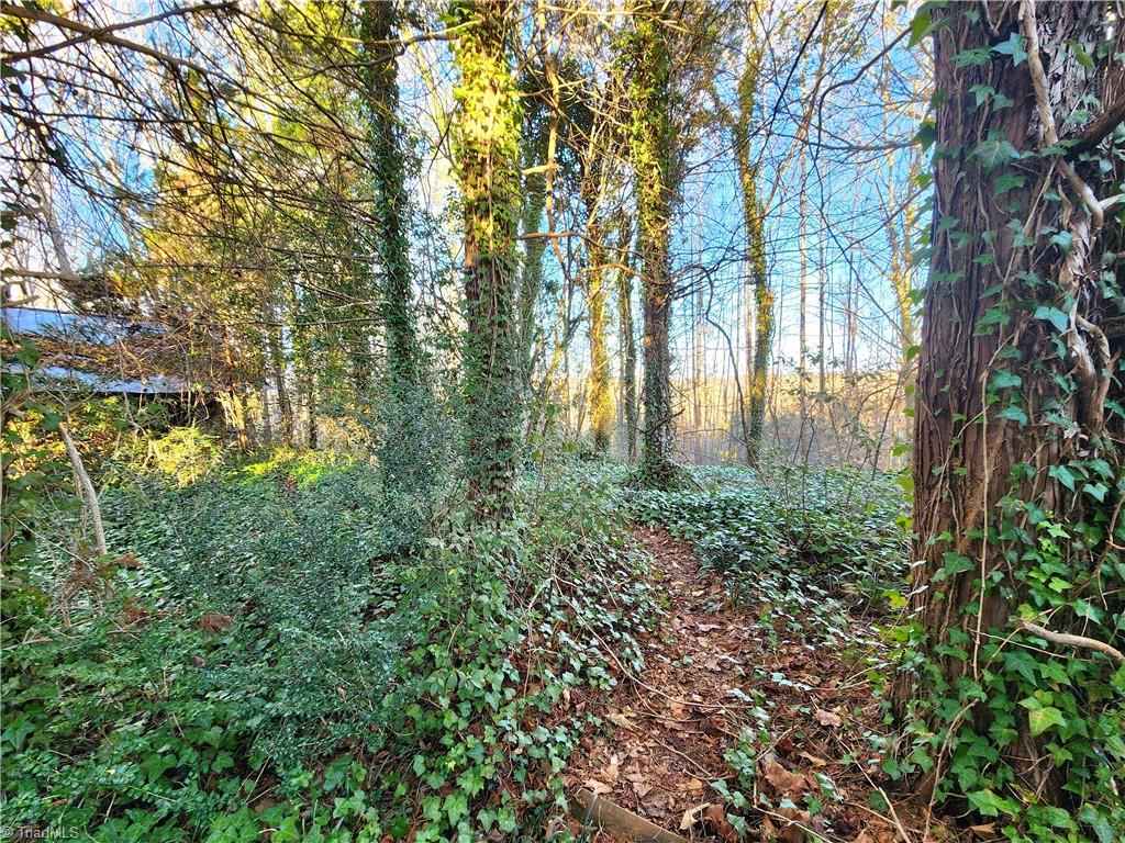 543 Fisher Valley Road Dobson, NC 27017 - Photo 36 of 48