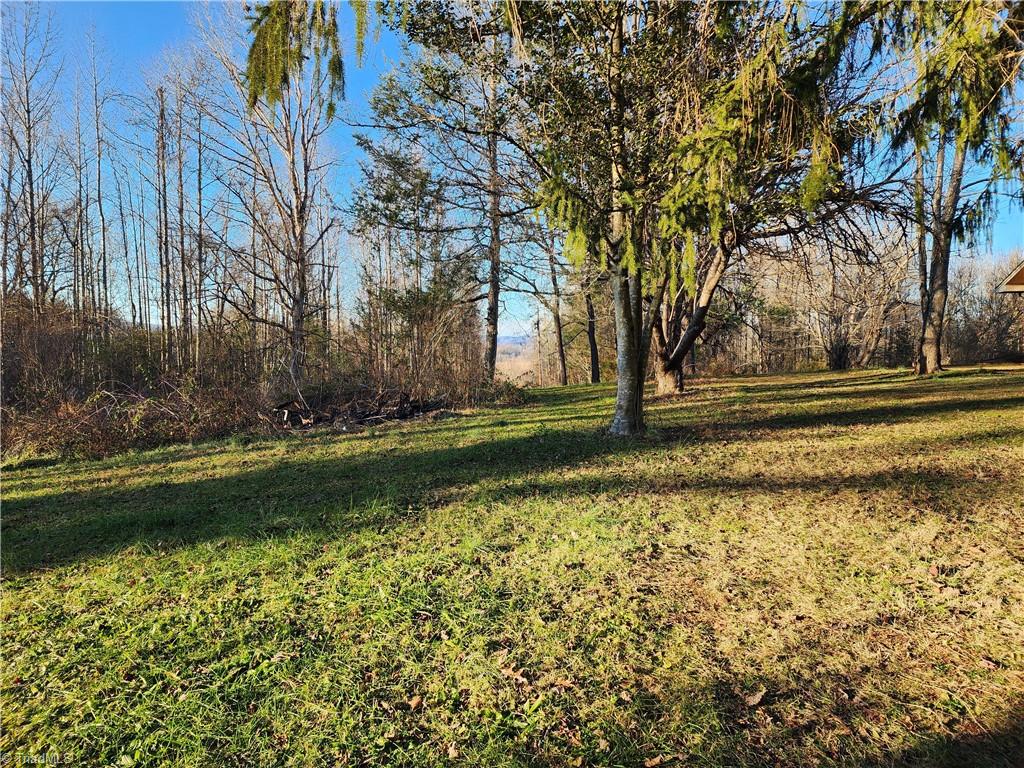 543 Fisher Valley Road Dobson, NC 27017 - Photo 4 of 48