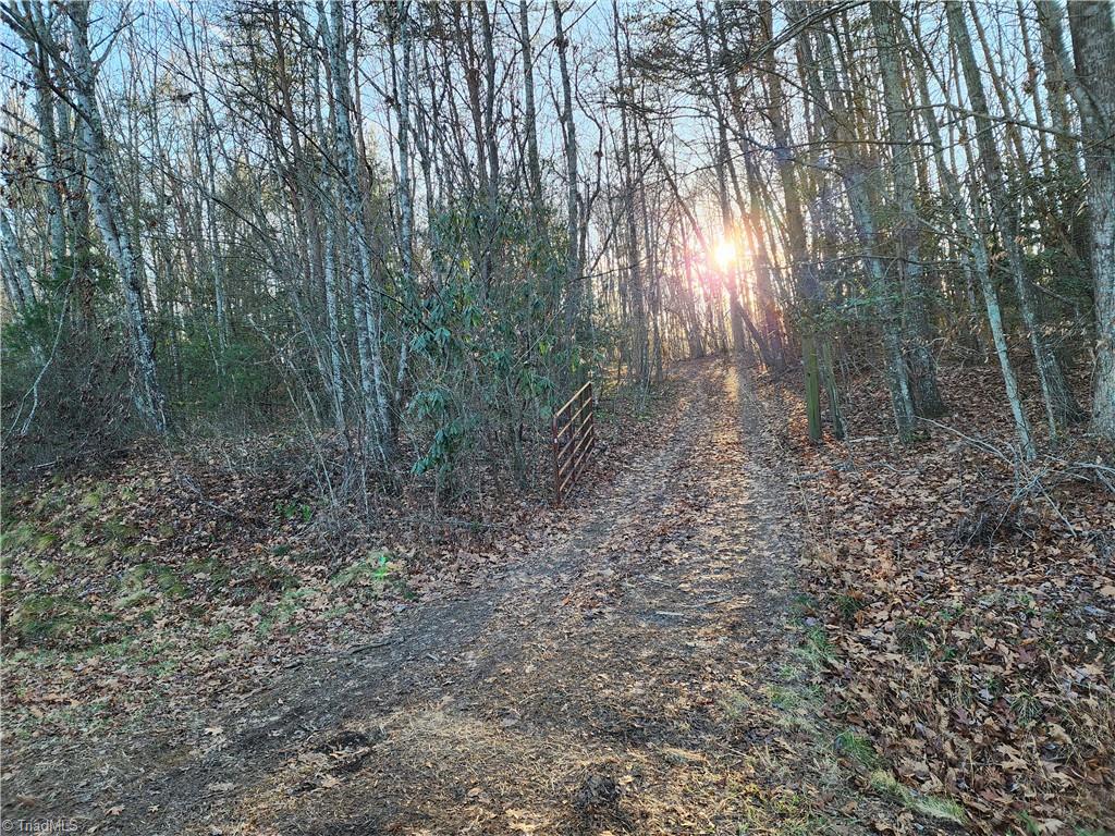 543 Fisher Valley Road Dobson, NC 27017 - Photo 47 of 48