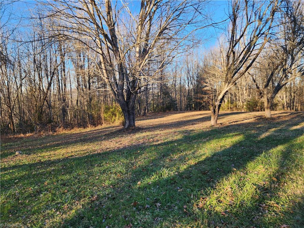 543 Fisher Valley Road Dobson, NC 27017 - Photo 6 of 48