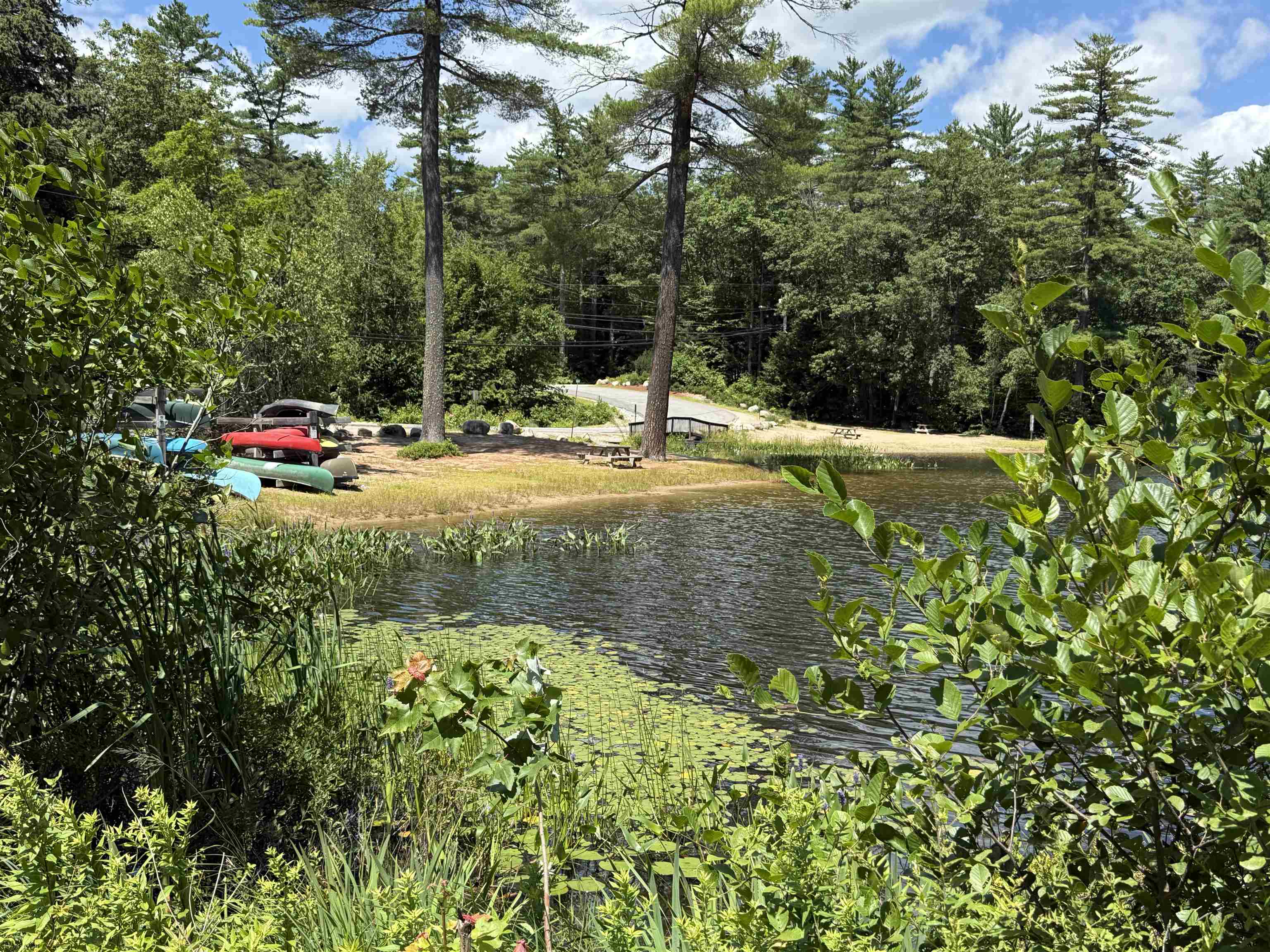 52 Appenvel Way Madison, NH 03849 - Photo 1 of 13