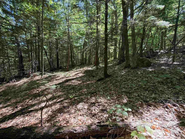 $158,000 | 52 Appenvel Way, Madison, NH 03849