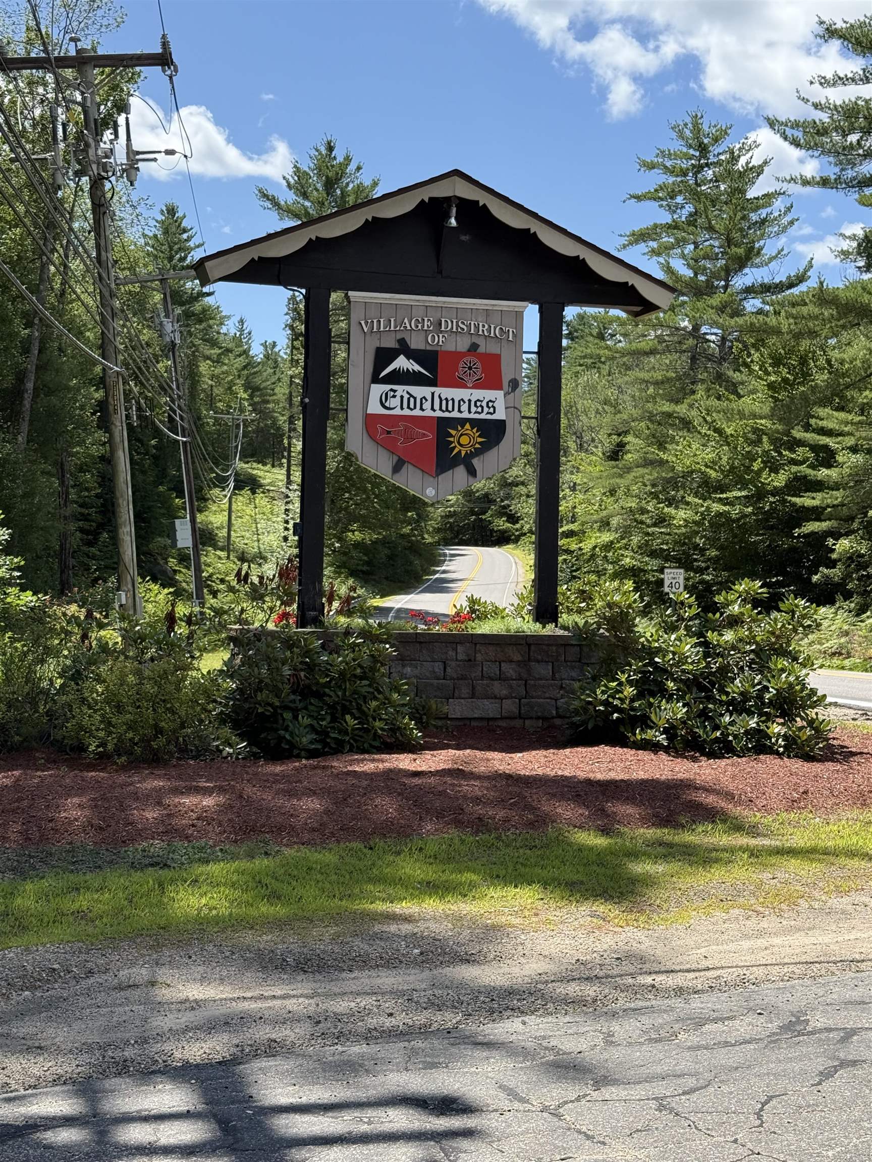 52 Appenvel Way Madison, NH 03849 - Photo 2 of 13
