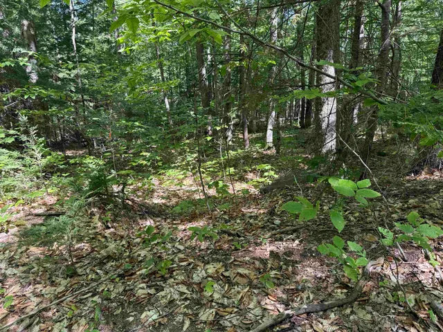 $165,000 | 52 Appenvel Way, Madison, NH 03849