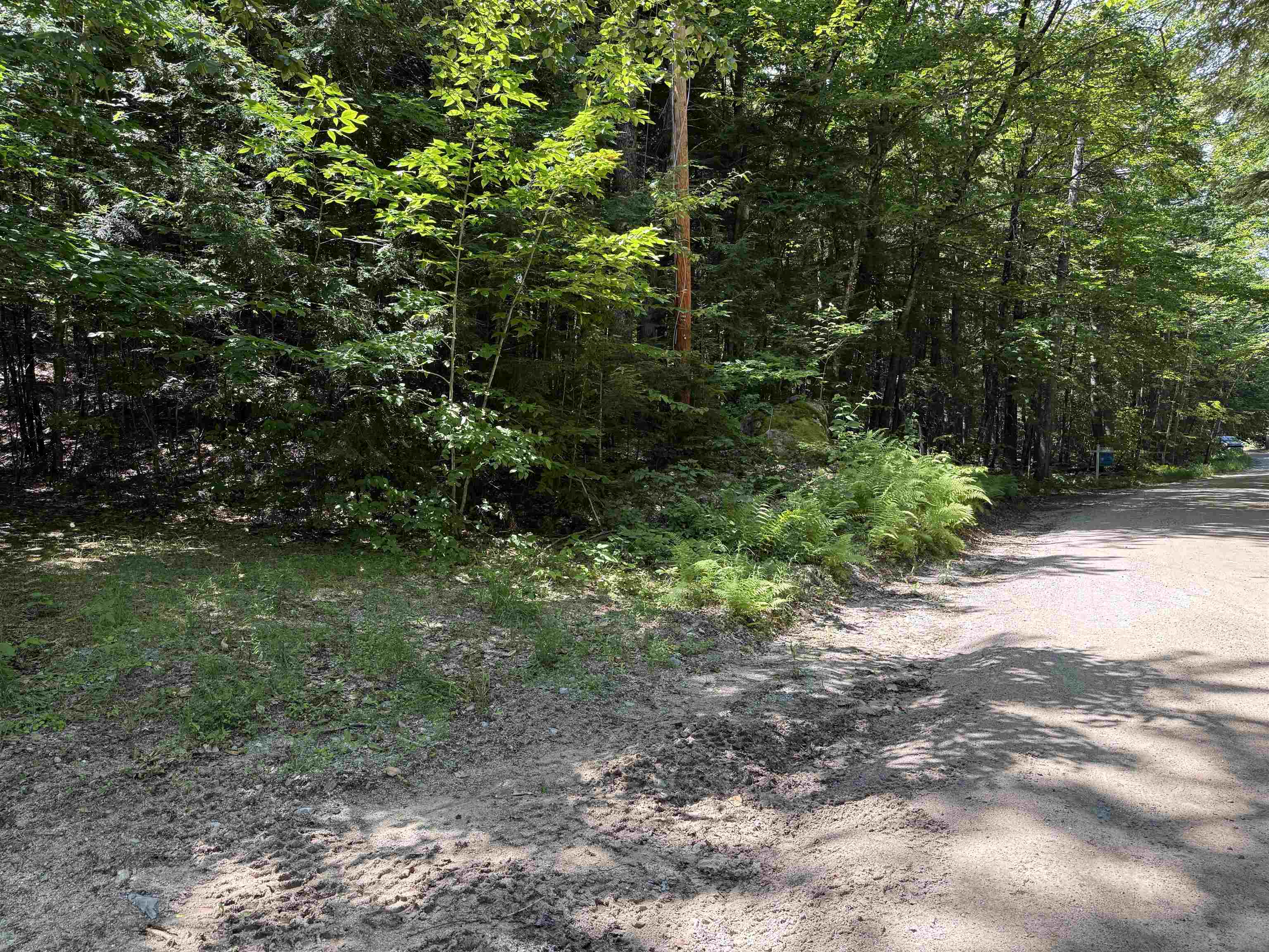52 Appenvel Way Madison, NH 03849 - Photo 5 of 13
