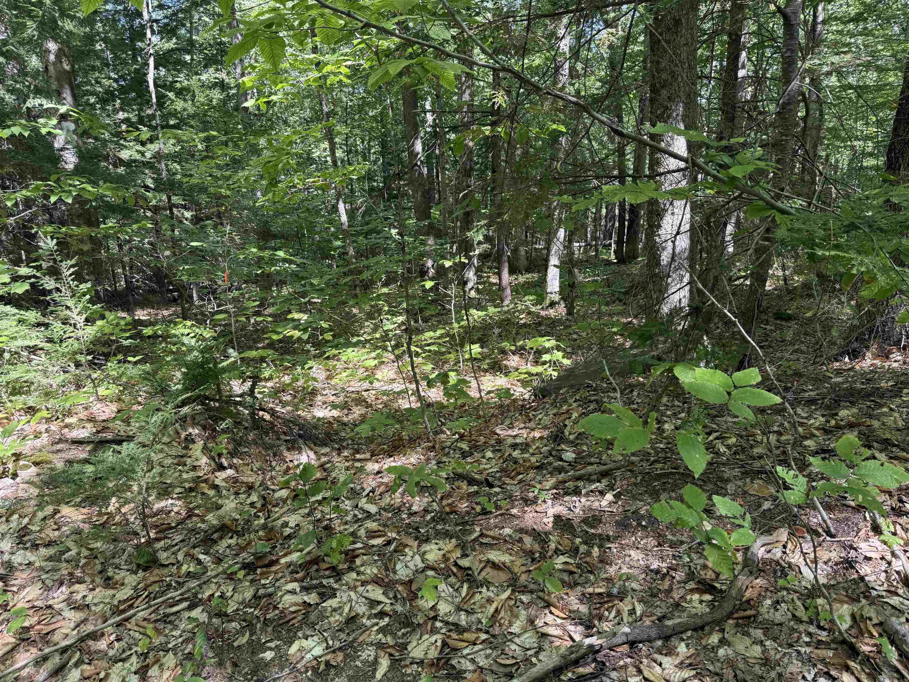 52 Appenvel Way Madison, NH 03849 - Photo 6 of 13