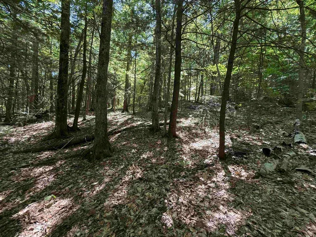 $165,000 | 52 Appenvel Way, Madison, NH 03849