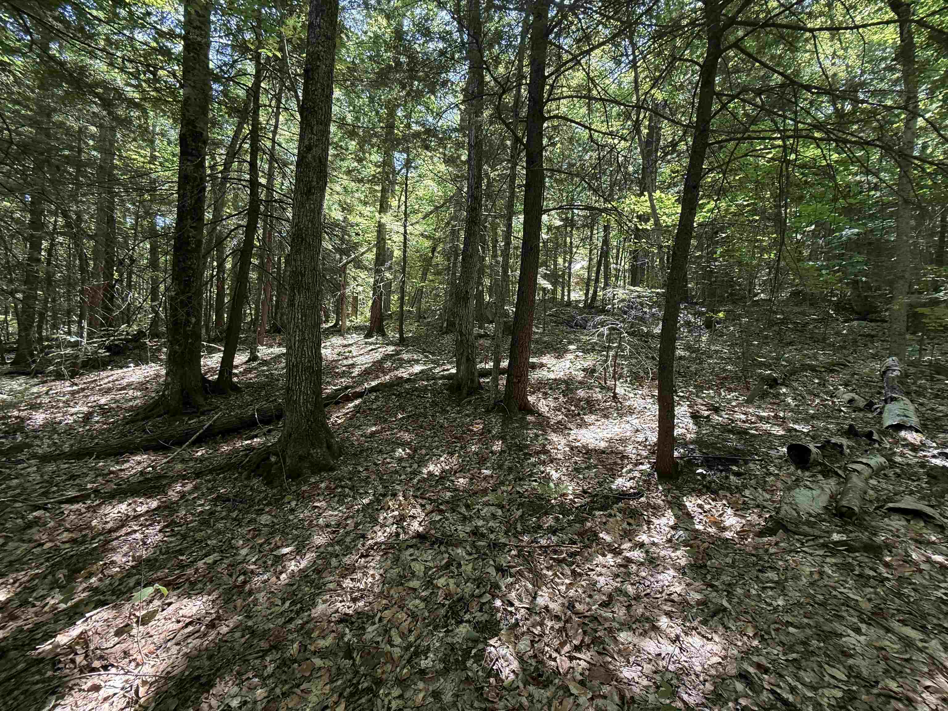 52 Appenvel Way Madison, NH 03849 - Photo 7 of 13