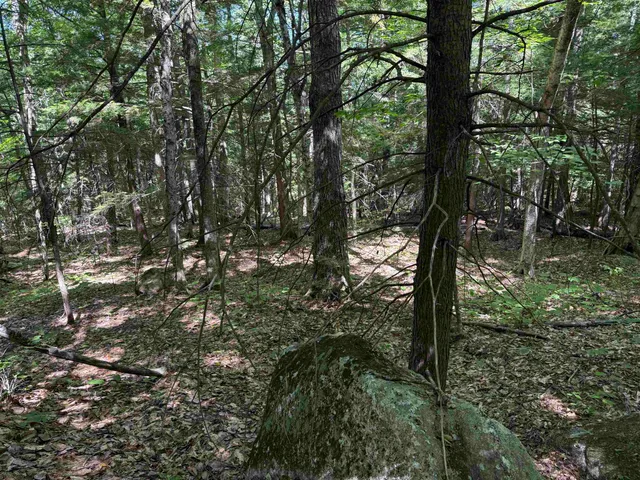 $165,000 | 52 Appenvel Way, Madison, NH 03849