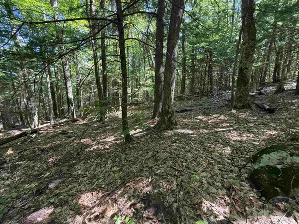 $158,000 | 52 Appenvel Way, Madison, NH 03849