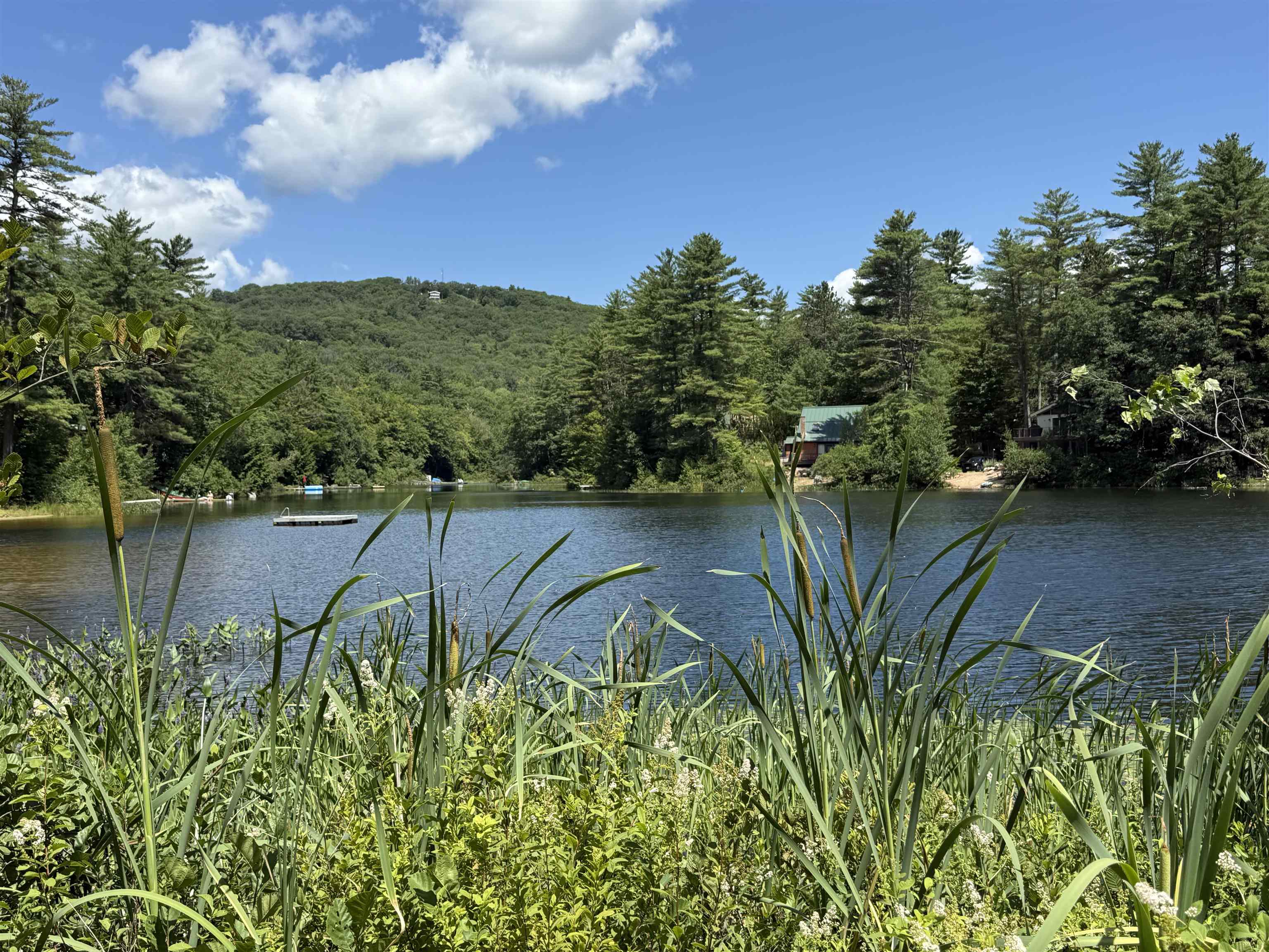 52 Appenvel Way Madison, NH 03849 - Photo 8 of 13