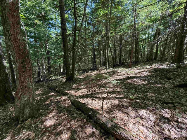 $165,000 | 52 Appenvel Way, Madison, NH 03849