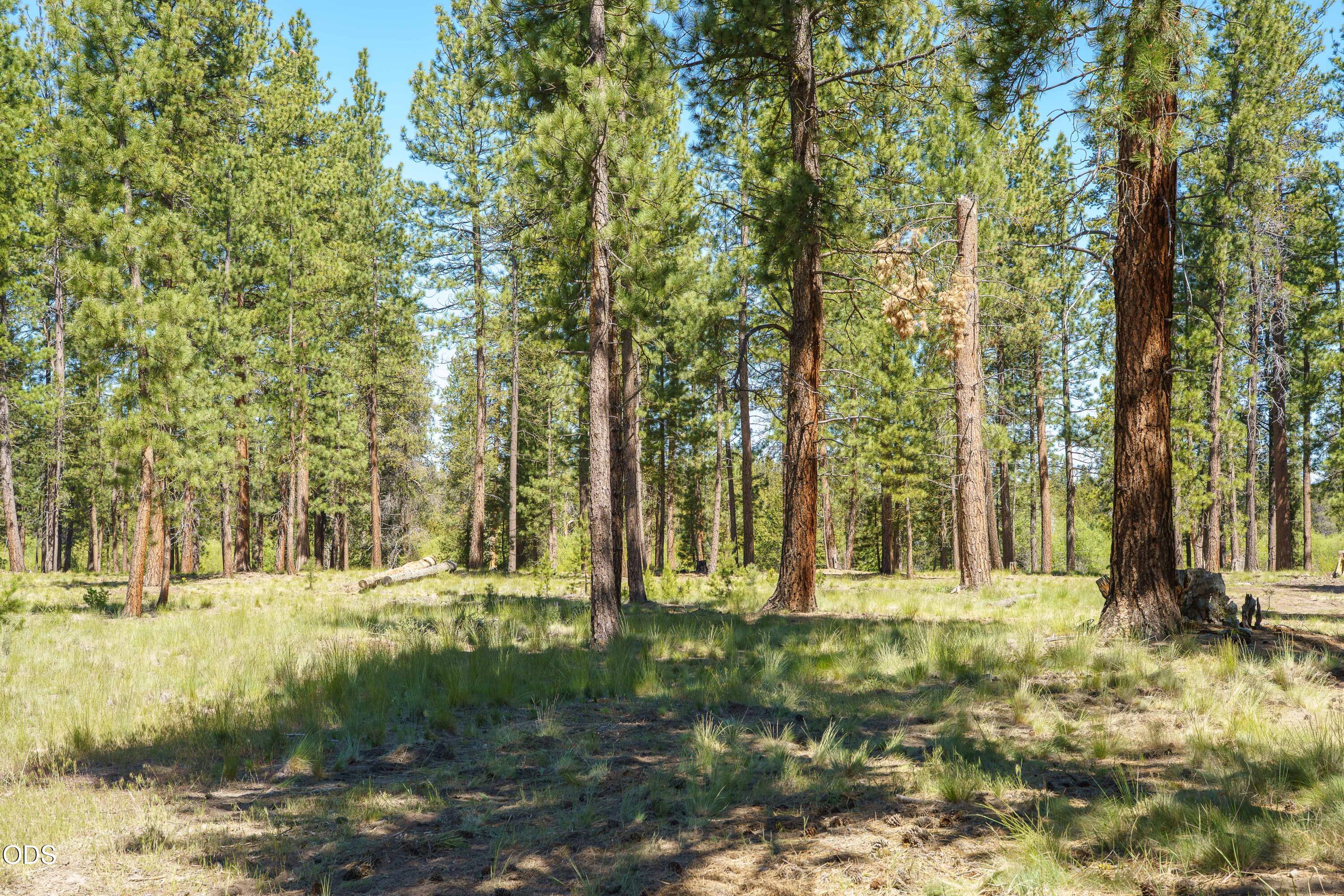 50910 Masten Road La Pine, OR 97739 - Photo 23 of 23 24