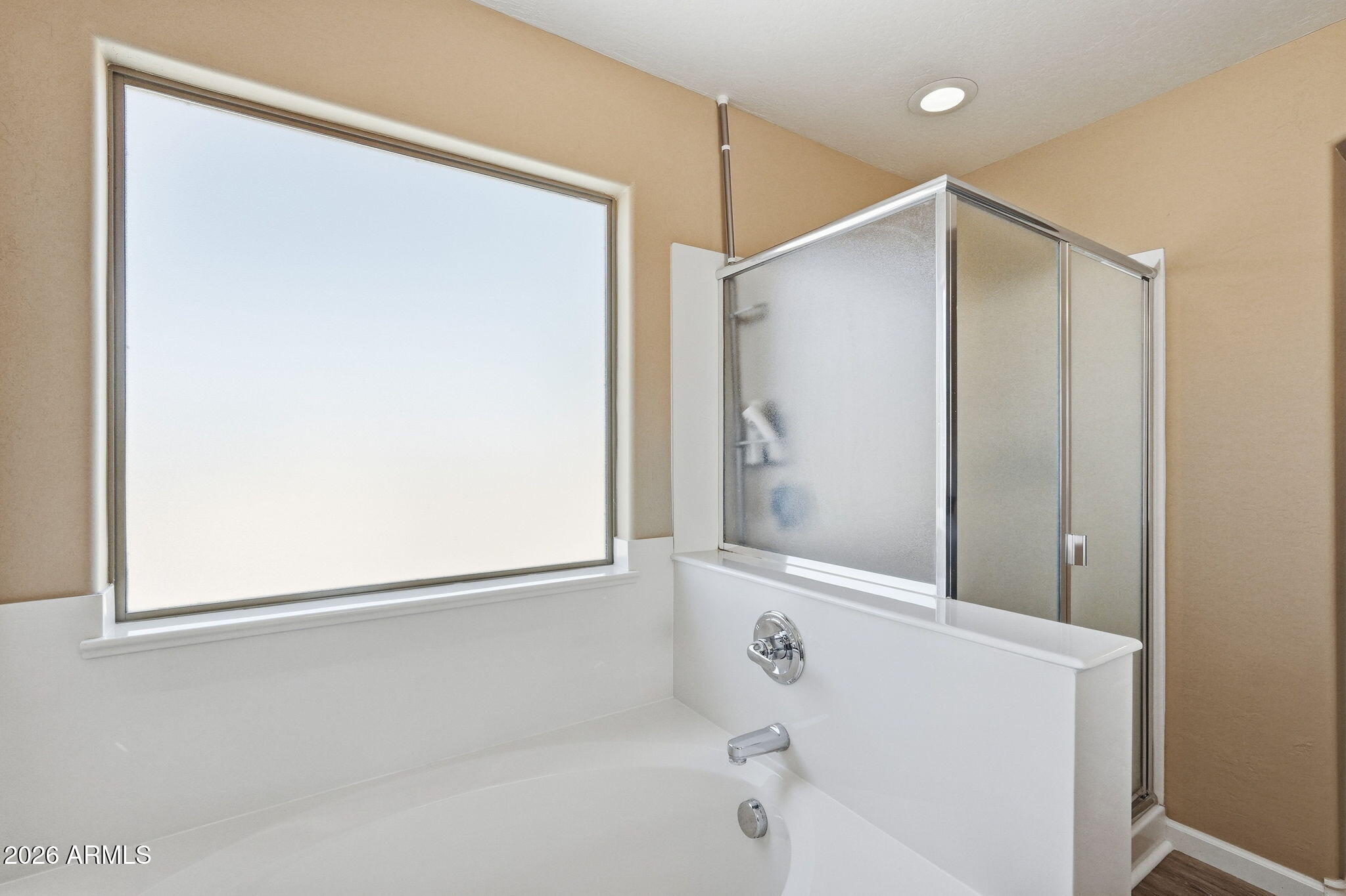 45512 West Long Way Maricopa, AZ 85139 - Photo 23 of 60 031_ListerPros