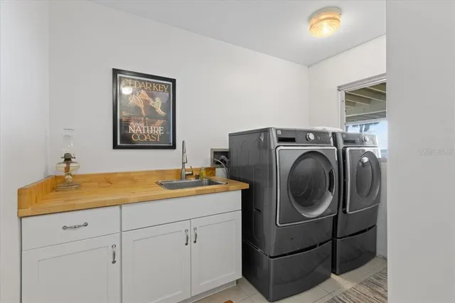 a park with large trees