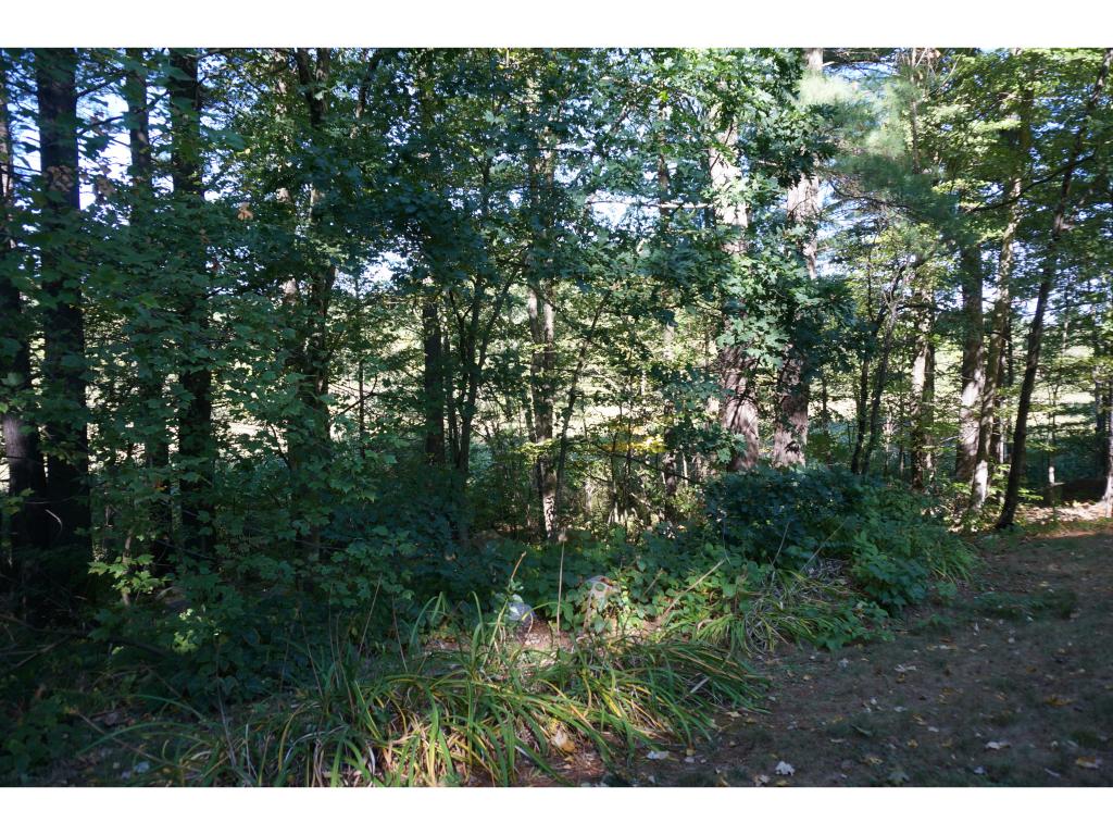 6 Pettingale Road Amherst, NH 03031 - Photo 19 of 21