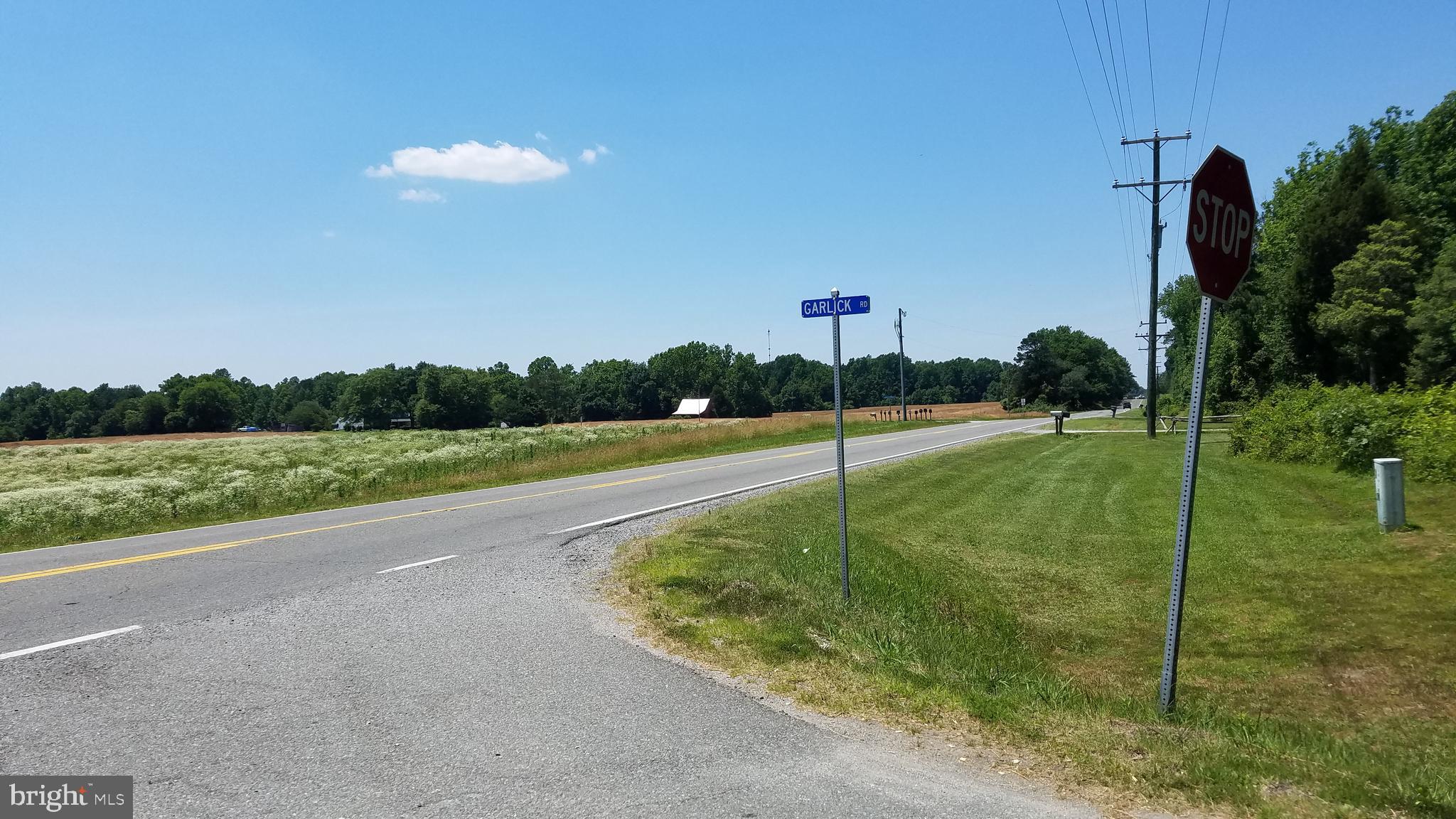 Garlick Road King William, VA 23086 - Photo 16 of 26