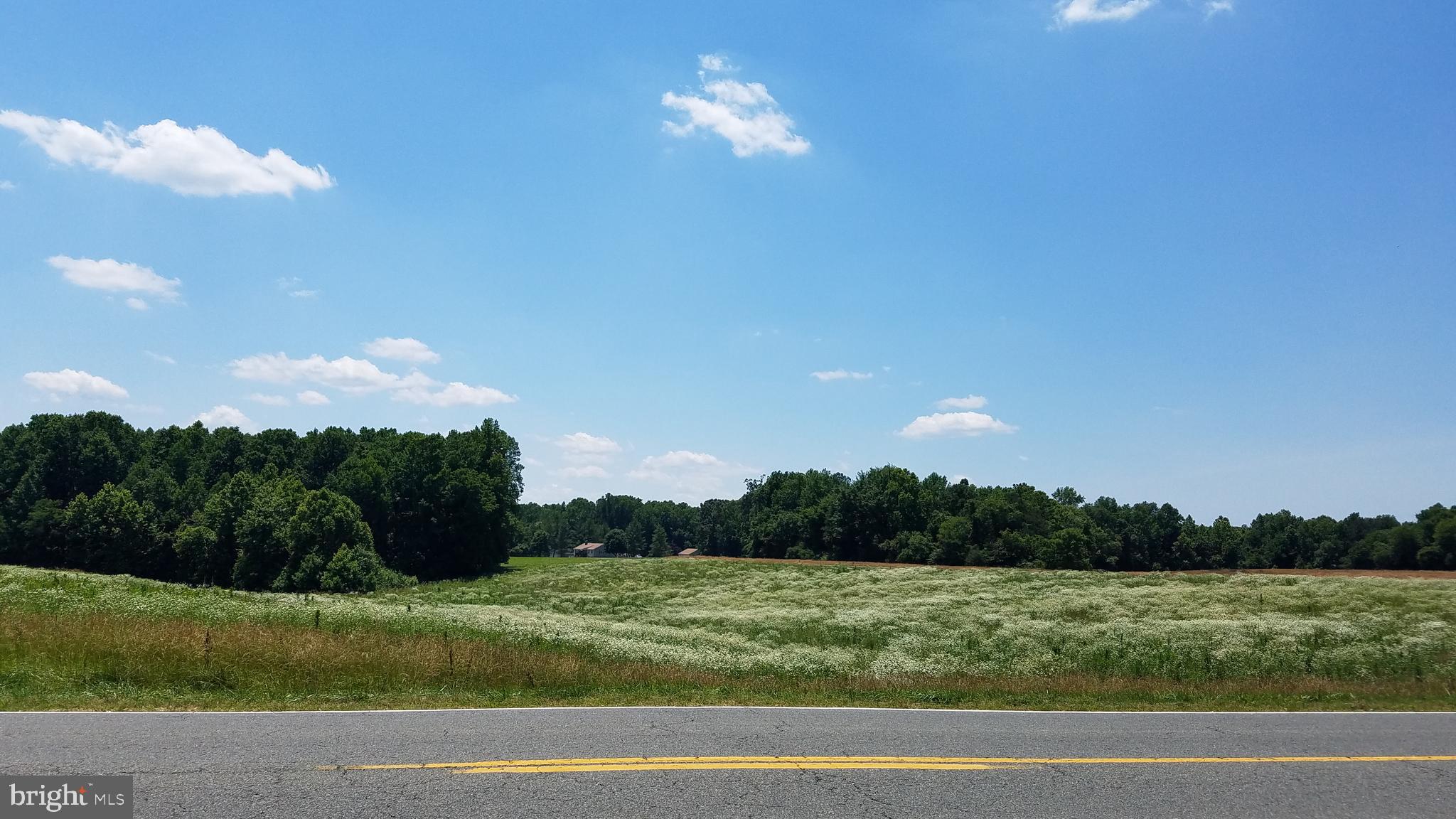 Garlick Road King William, VA 23086 - Photo 17 of 26