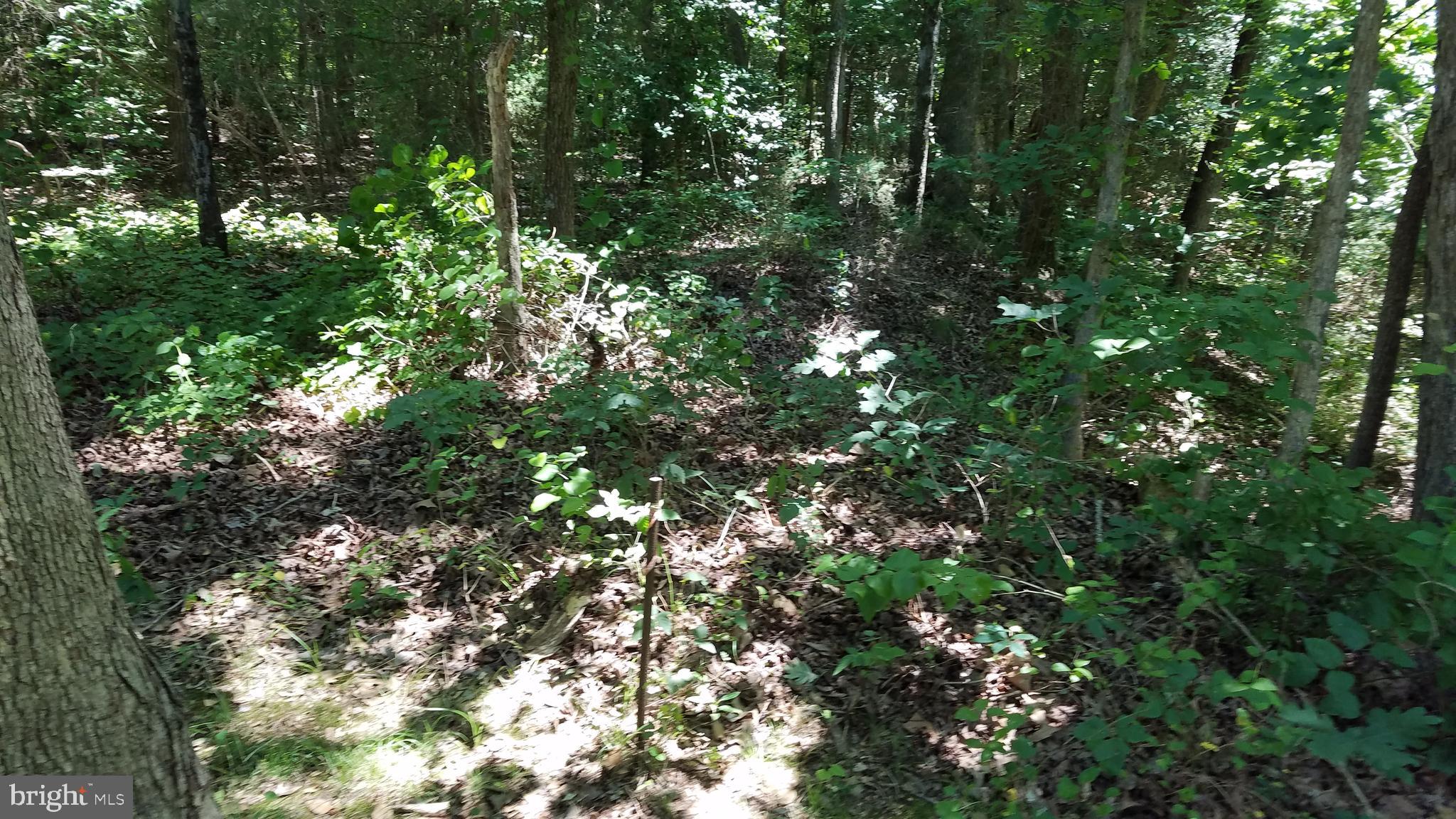 Garlick Road King William, VA 23086 - Photo 22 of 26