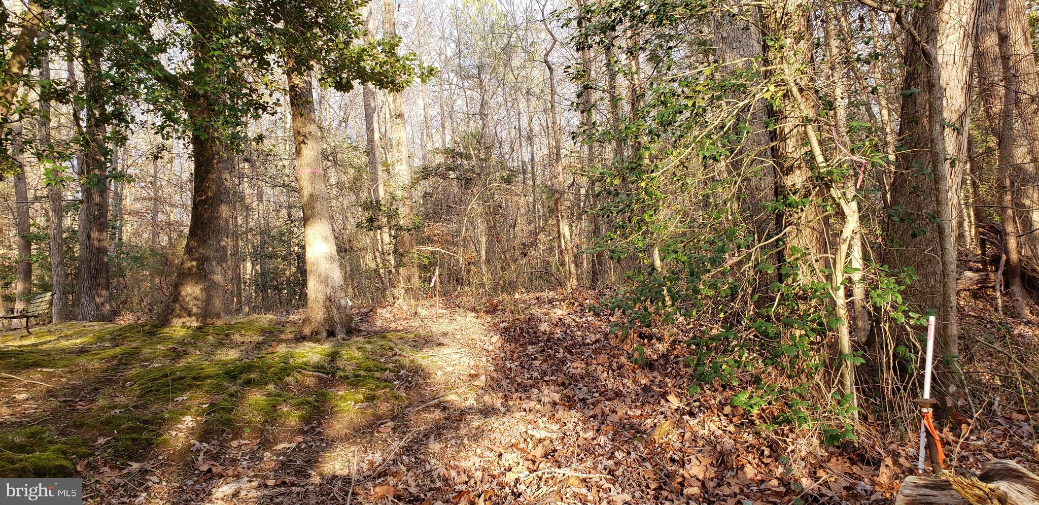 Garlick Road King William, VA 23086 - Photo 26 of 26