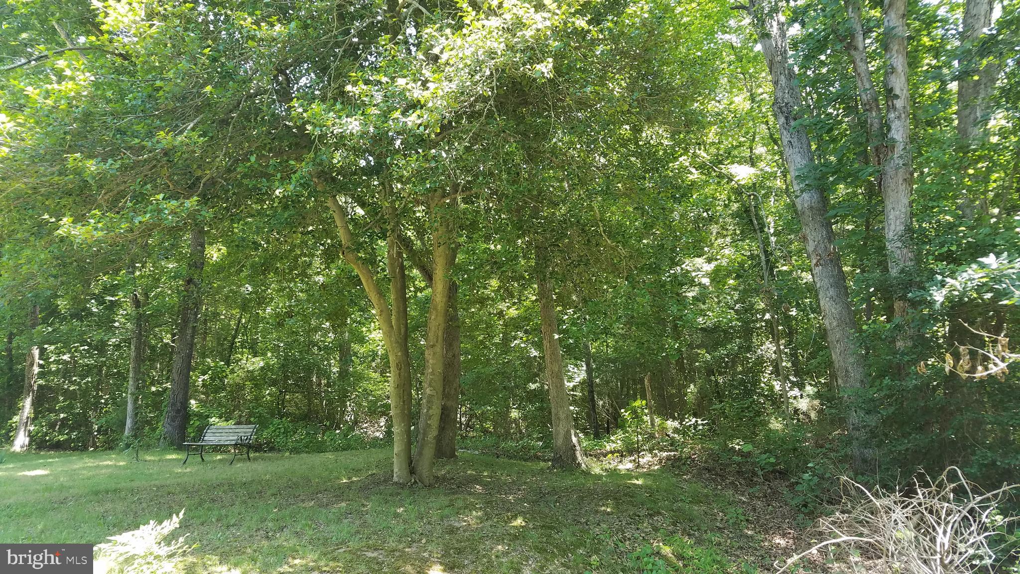 Garlick Road King William, VA 23086 - Photo 3 of 26