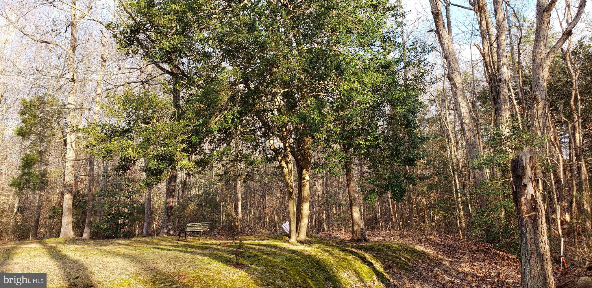 Garlick Road King William, VA 23086 - Photo 4 of 26