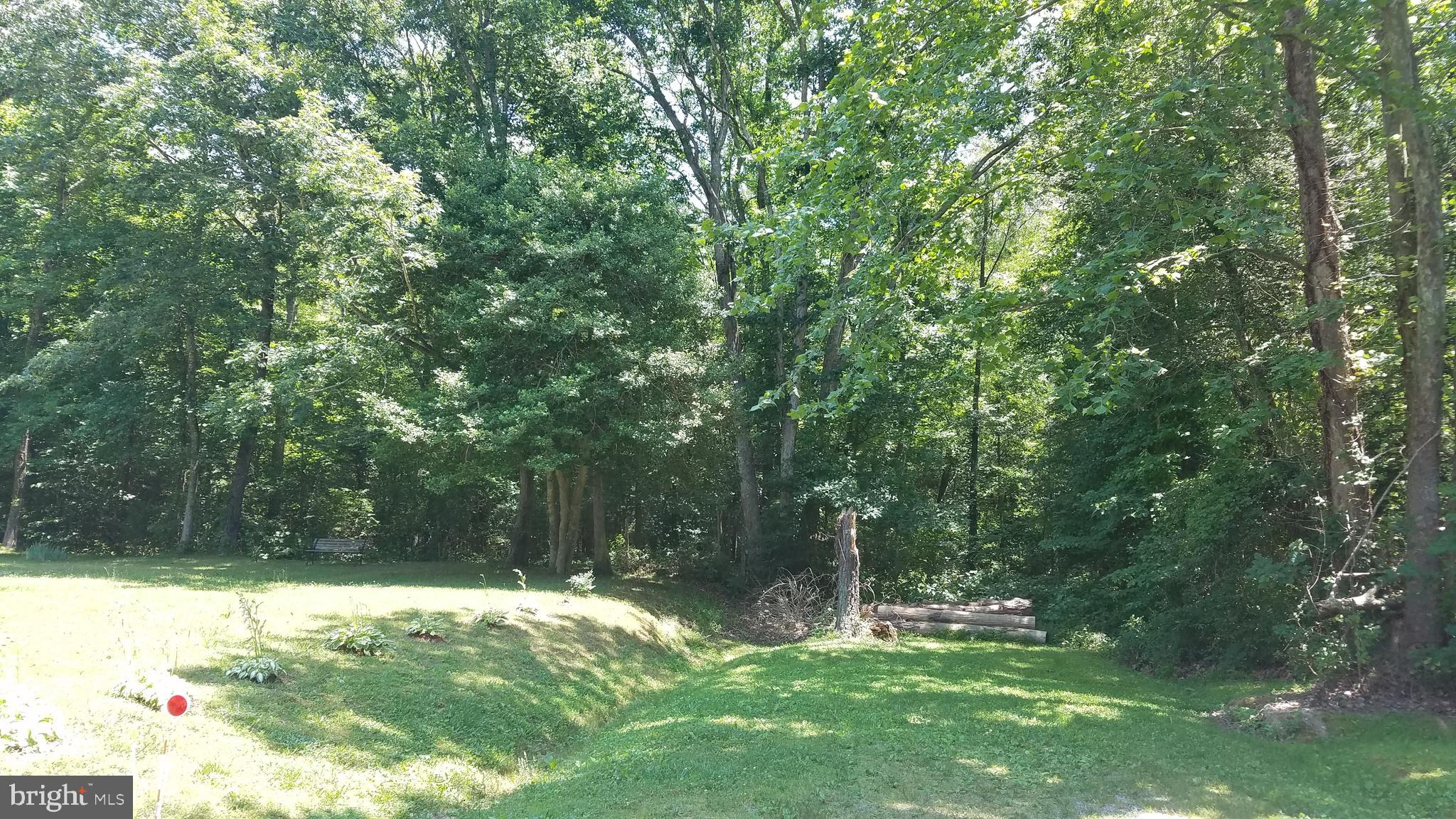 Garlick Road King William, VA 23086 - Photo 5 of 26