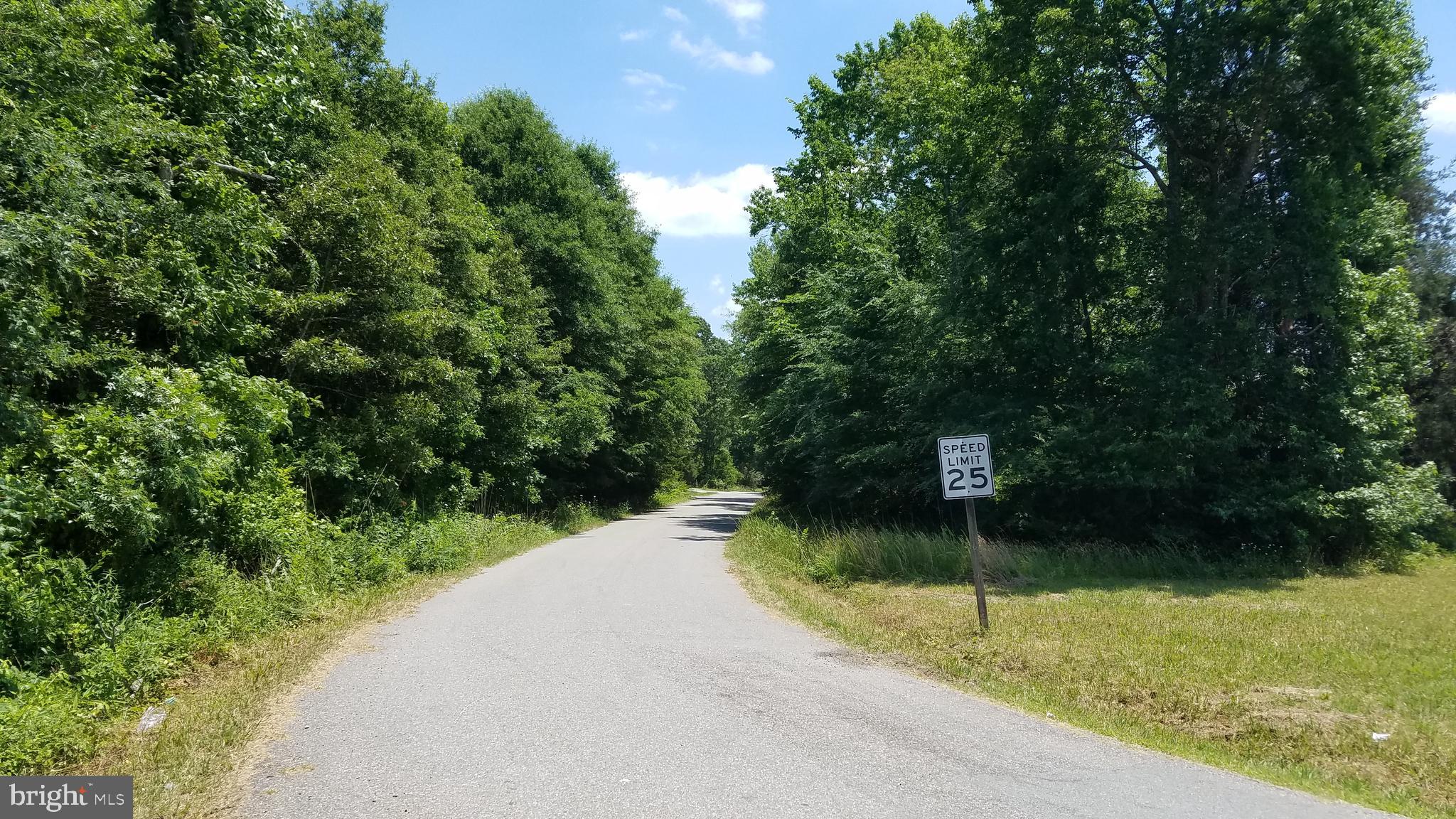 Garlick Road King William, VA 23086 - Photo 8 of 26