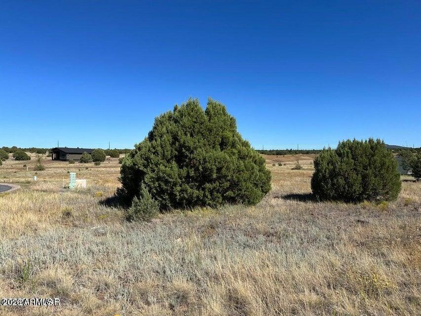1100 South Ridgecreek Lane, Unit 29 Show Low, AZ 85901 - Photo 2 of 4 20240214180840636415000000-o