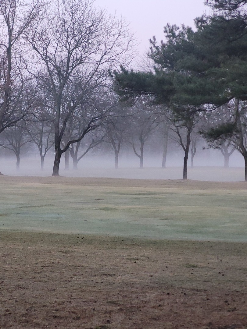 196 Shoreline Road Lake Barrington, IL 60010 - Photo 29 of 33
