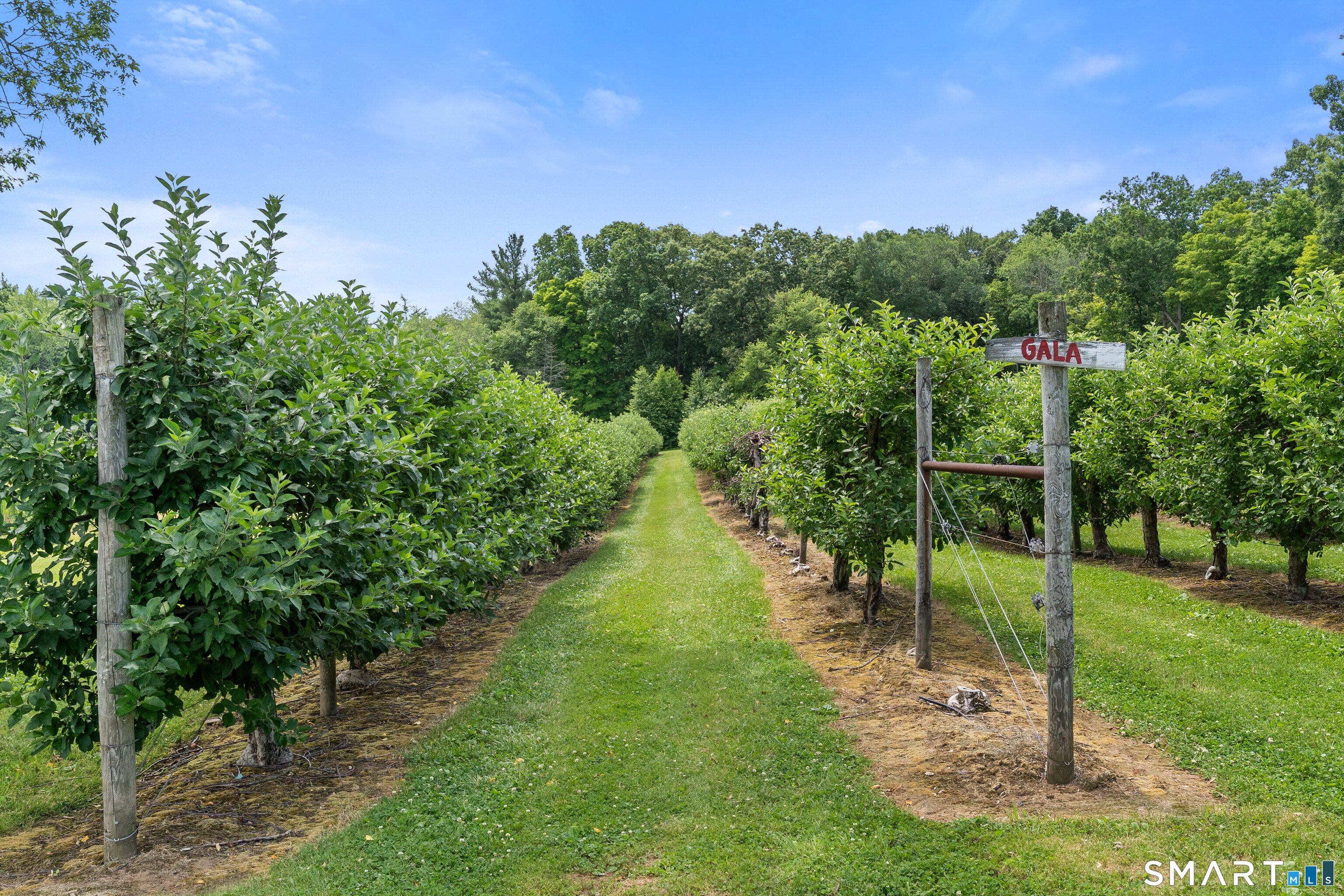 317 Bebbington Road Ashford, CT 06278 - Photo 40 of 40