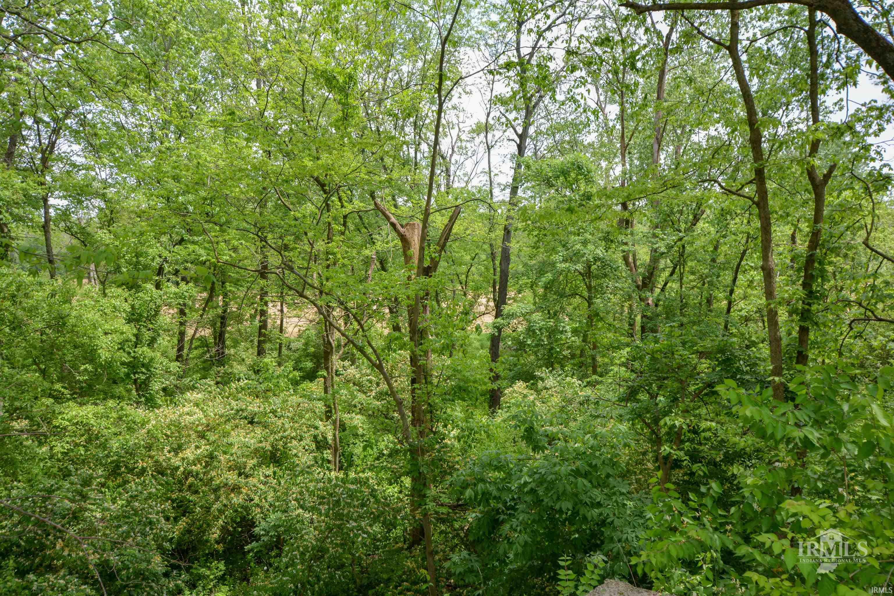 2510 South Whitney Road Selma, IN 47383 - Photo 22 of 34