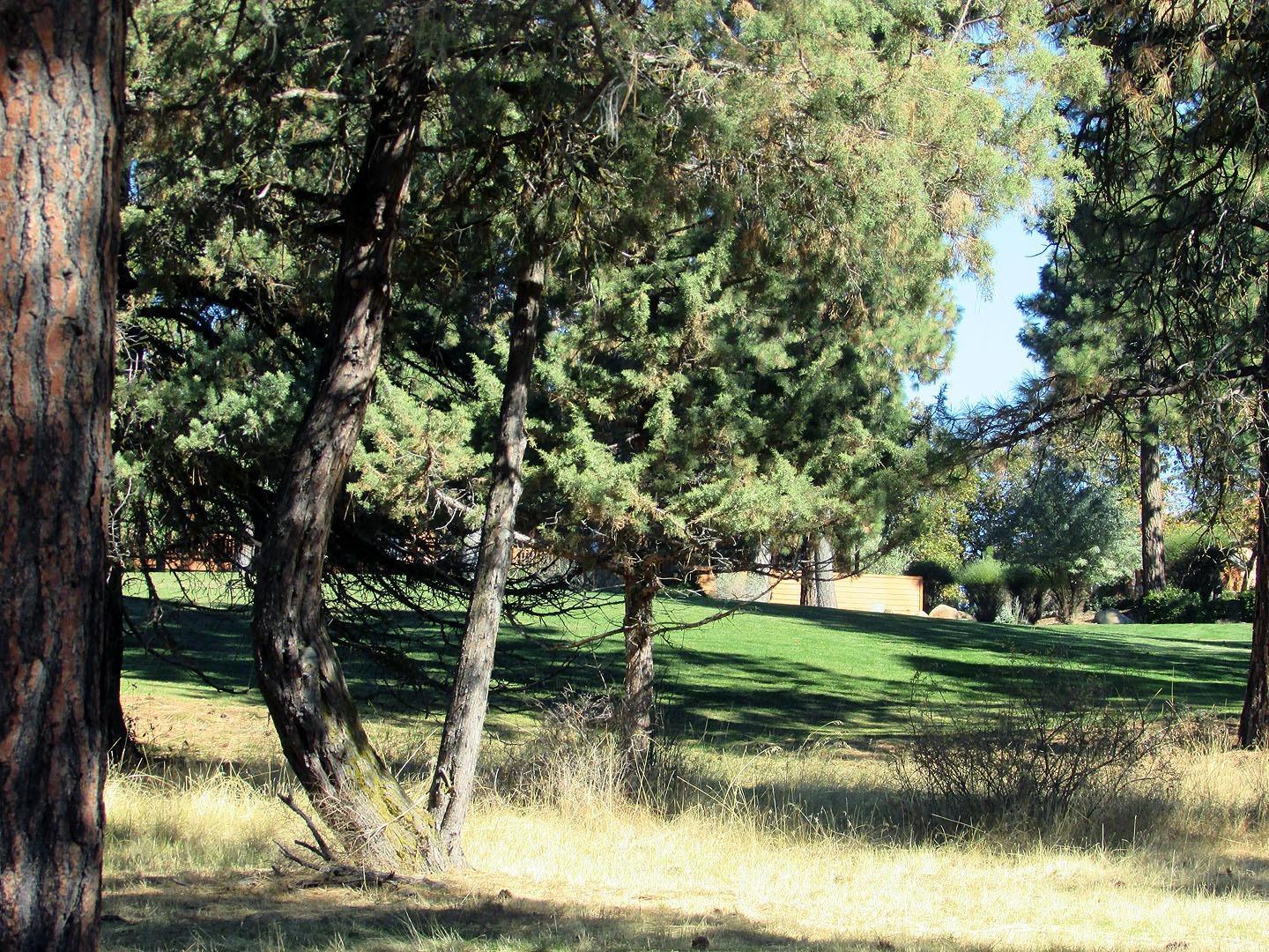 124 Merganser Road Klamath Falls, OR 97601 - Photo 9 of 17 Additional Photo