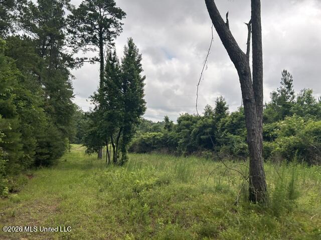 301 Freeman Road Southwest Summit, MS 39666 - Photo 40 of 43 IMG_4627