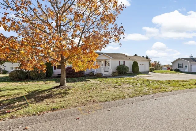 a view of a large trees with a house in the background