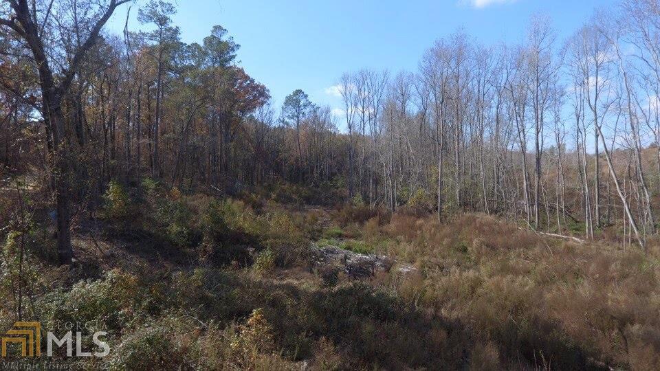 0 Wilcher Road Mitchell, GA 30820 - Photo 1 of 1
