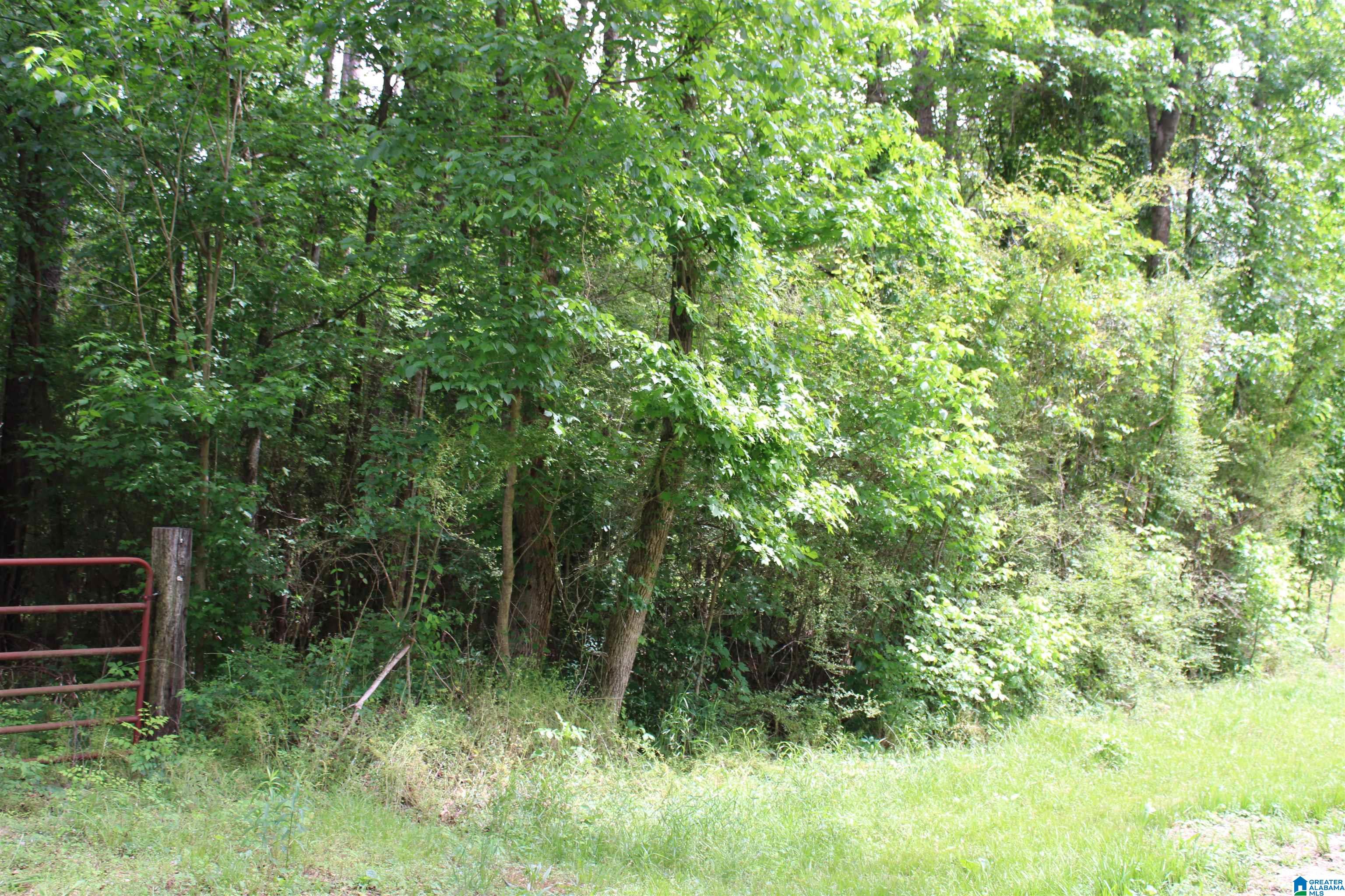 0 Wooten Road, Unit 6 ACRES Alabaster, AL 35007 - Photo 6 of 8