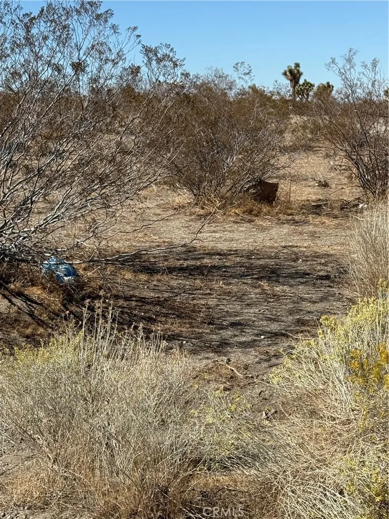 0 Beekley Road Pinon Hills, CA 92372 - Photo 4 of 5