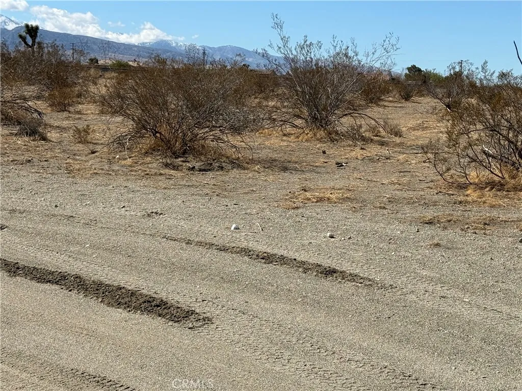0 Beekley Road Pinon Hills, CA 92372 - Photo 5 of 5 a view of a dry yard with mountains in the background