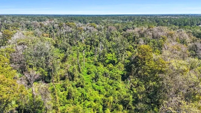 $325,000 | 0 East E Highway, Robert, LA 70455