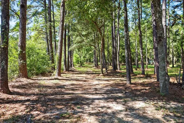 $299,000 | 0 East E Highway, Robert, LA 70455