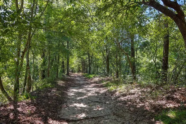 $325,000 | 0 East E Highway, Robert, LA 70455