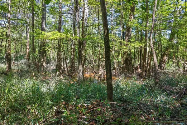 $299,000 | 0 East E Highway, Robert, LA 70455