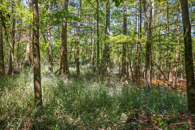 $325,000 | 0 East E Highway, Robert, LA 70455