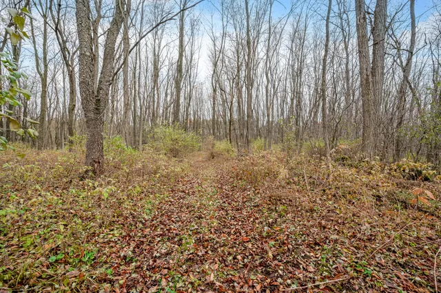 $247,000 | 4669 155th Avenue, Hersey, MI 49639