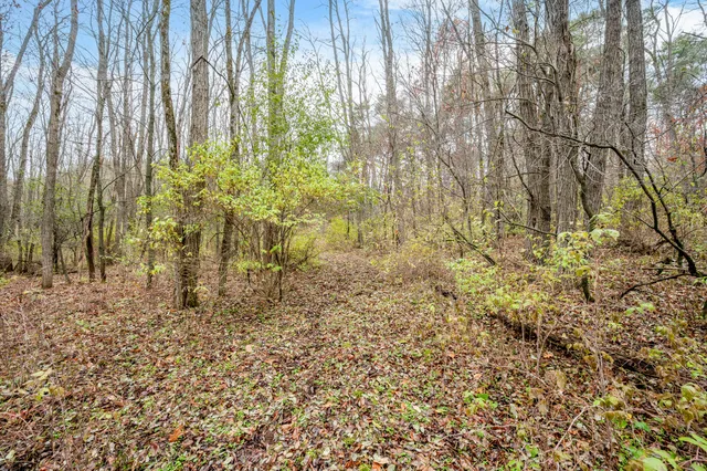 $247,000 | 4669 155th Avenue, Hersey, MI 49639