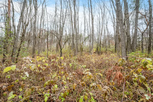 $247,000 | 4669 155th Avenue, Hersey, MI 49639