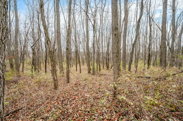 $247,000 | 4669 155th Avenue, Hersey, MI 49639